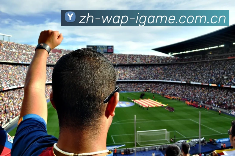 网民C77
